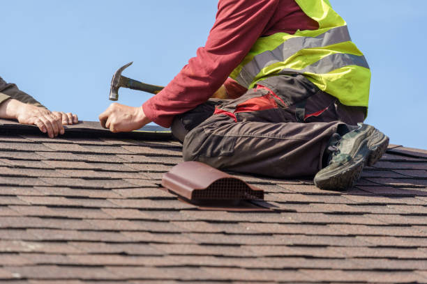 Best Local Roofing Companies  in Cartervle, IL
