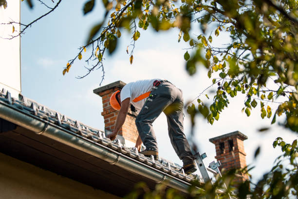 Best Slate Roofing Contractor  in Cartervle, IL
