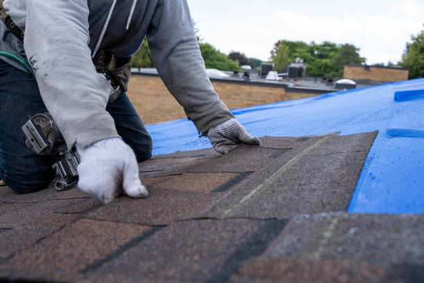 Best Slate Roofing Contractor  in Cartervle, IL