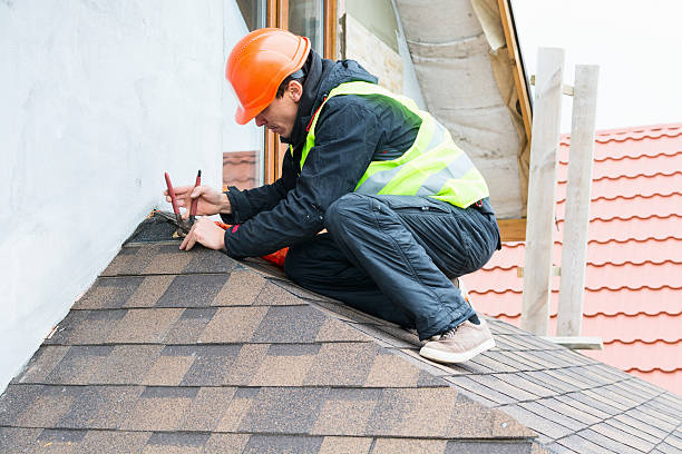 Best Local Roofing Companies  in Cartervle, IL